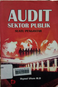 Audit sektor publik