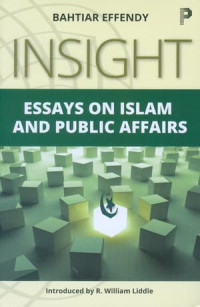 Insight : essay on Islam and public affairs