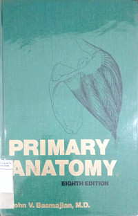 Primary anatomy