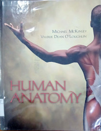 Human anatomy