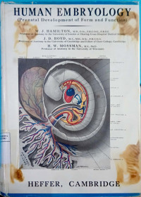 Human embryology (prenatal development of form and function)