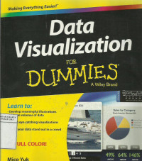 Data visualization for dummies