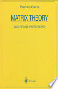 Matrix theory : basic results and technigues