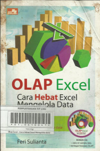 Olap Excel Cara Hebat Excel Mengelola Data