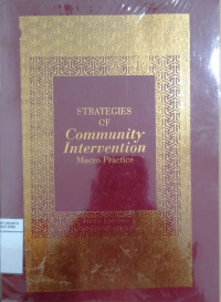 Strategies of community intervention: macro practice