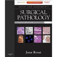 Surgical Pathology Volume 2