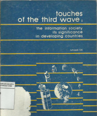 Touches of the third wave: the information society its significance in developing countries