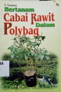 Bertanam cabai rawit dalam polybag