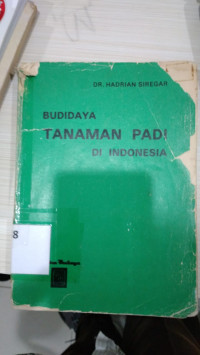 Budidaya tanaman padi di Indonesia