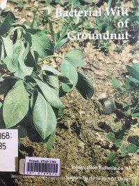 Bacterial wilt of groundnut