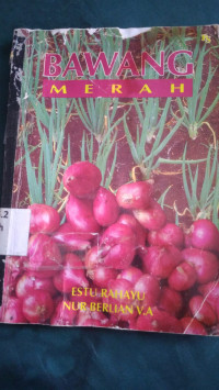 Bawang merah