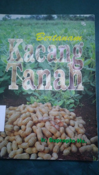 Bertanam kacang tanah