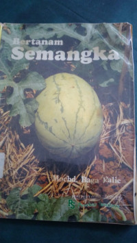 Bertanam Semangka