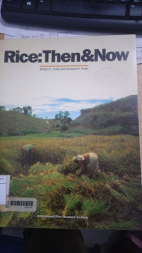 Rice : then & now