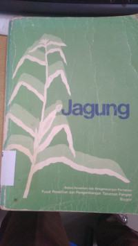 Jagung