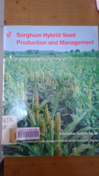 Sorghum hybrid seed production and management