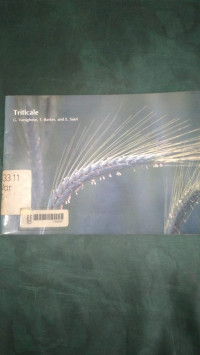 Triticale