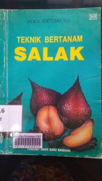 Teknik bertanam salak