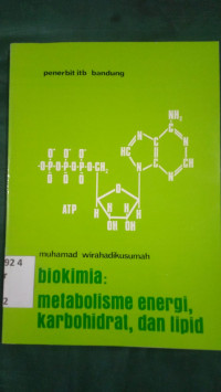 Biokimia : metabolisme energi, karbohidrat, dan lipid