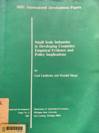 Small-scale industries in developing countries: empirical evidence and policy implications