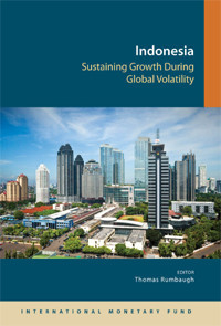Indonesia sustaining growth during global volatility