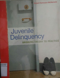 Juvenile Delinquency: bridging theory to practice