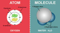 Molecule