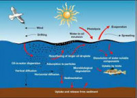 Gheo chemical Processes Water and Sediment Environments