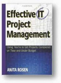 Effective it project management :using teams to get projects completed on time and under budget