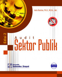 Audit sektor publik