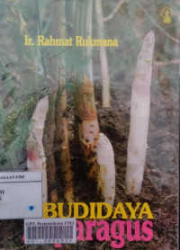 Budidaya asparagus