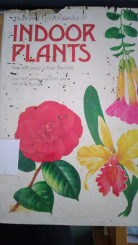 Illustrated encyclopedia of indoor Plants